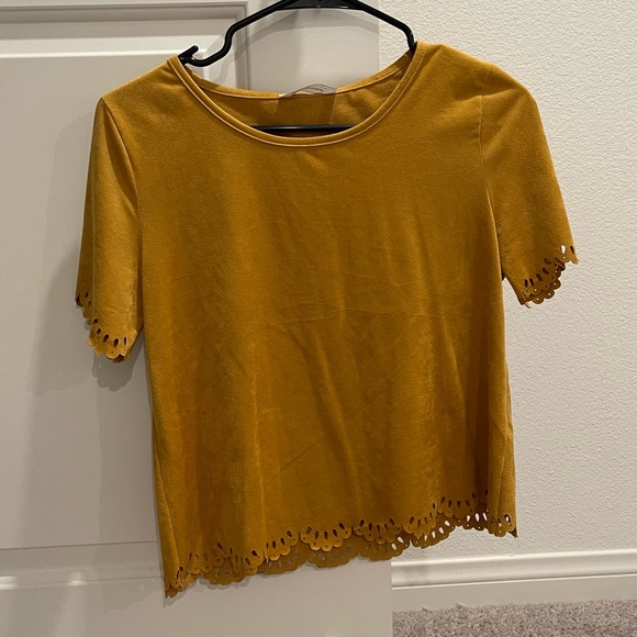 Jasmine brand Faux suede crop top size Medium - Picture 1 of 9